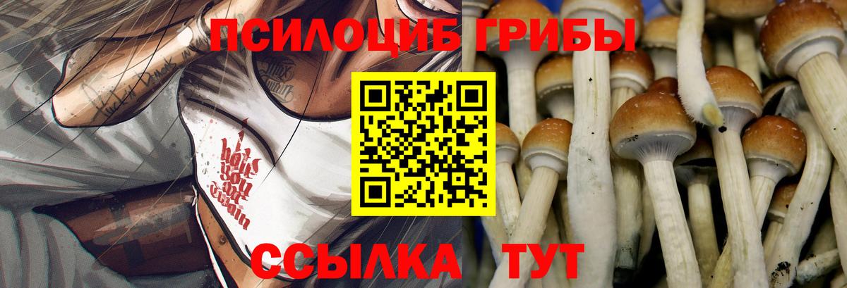 Галлюциногенные грибы Cubensis  Вход с VPN  Кузнецк 